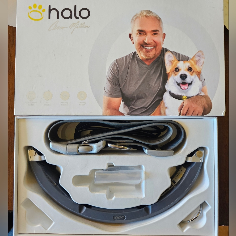 Halo Dog Collar Graphite